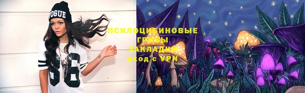 PSILOCYBIN Красноперекопск