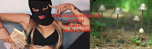 ALPHA PVP Краснослободск