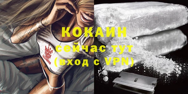 PSILOCYBIN Красноперекопск