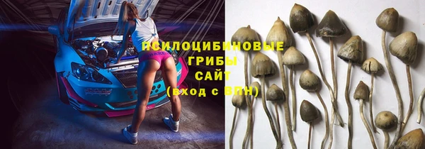 PSILOCYBIN Красноперекопск