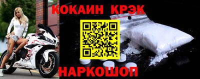 стаф Гай