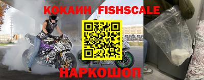 стаф Гай