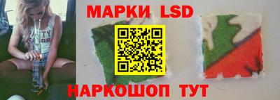 стаф Гай