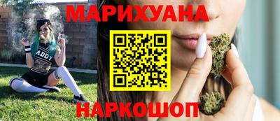 стаф Гай