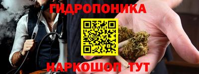 шишки Гатчина