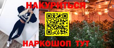 стаф Гай