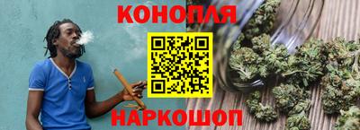 стаф Гай