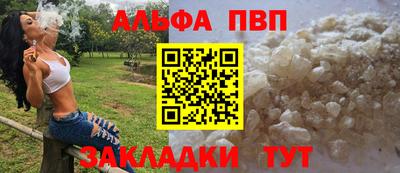 стаф Гай