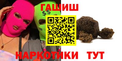 стаф Гай