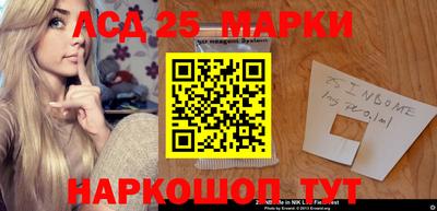 стаф Гай