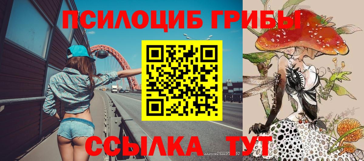 Галлюциногенные грибы Psilocybine cubensis  Орск 