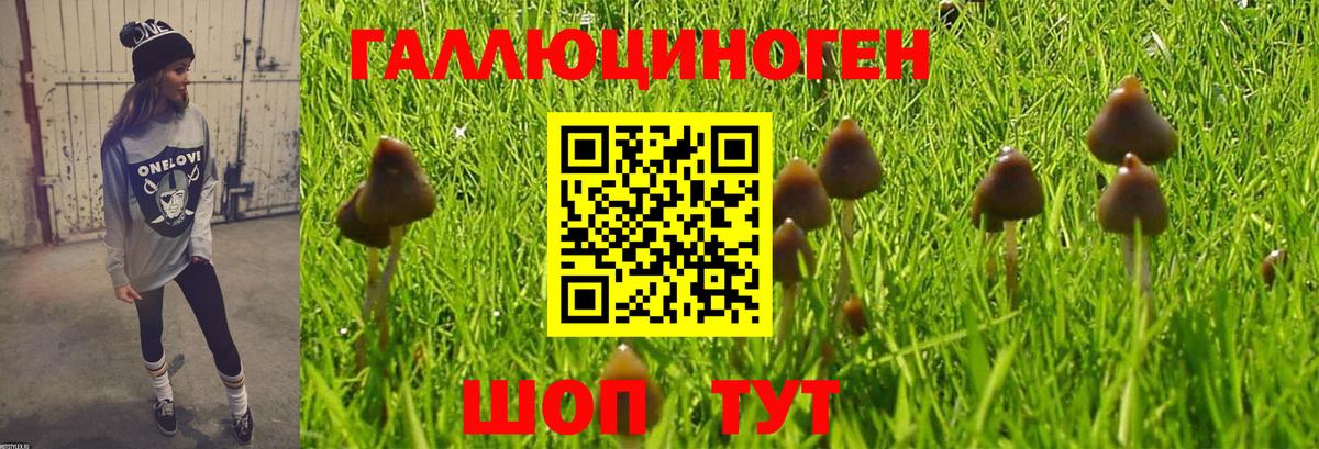 Галлюциногенные грибы мухоморы  Вход с VPN  Орск 