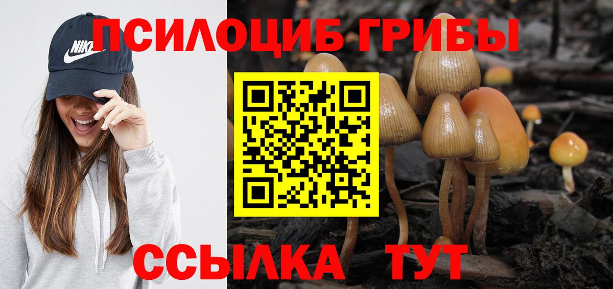 Псилоцибиновые грибы Psilocybine cubensis Орск